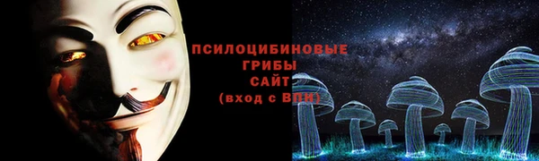бутират Бородино