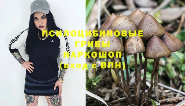 соль ск Богородицк